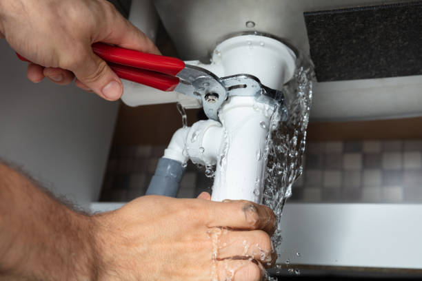 Best Sewage cleanup and water damage restoration  in Springdale, SC