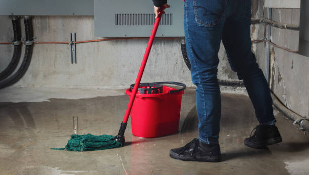 Best Emergency water damage restoration  in Springdale, SC
