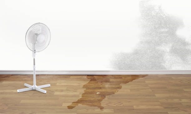 Trusted Springdale, SC Water damage restoration Experts