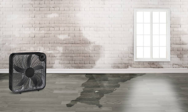 Best Residential water damage restoration  in Springdale, SC
