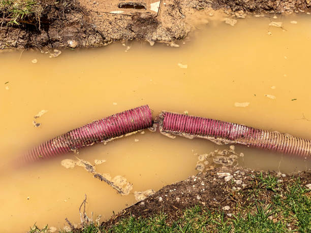 Best Commercial water damage restoration  in Springdale, SC